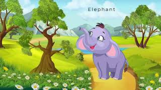 Jungle Animal - Baby learning