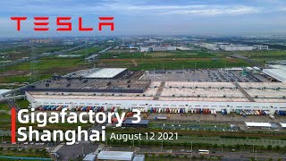 (August 12 2021)Tesla Gigafactory 3 Shanghai 4K Video