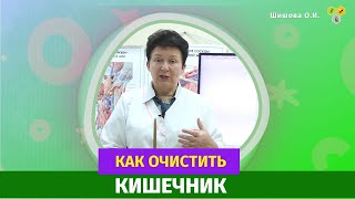 Как очистить кишечник. [Шишова О.И.]