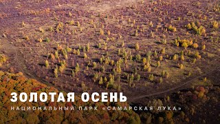 ЗОЛОТАЯ ОСЕНЬ | Национальный парк "Самарская Лука" | 4k