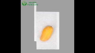 Mango Protection Bag Grape Bags For Sale+8613583554035