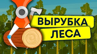 массовое уничтожение леса | вырубка деревьев | экология 12+