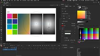 Adobe Animate Color