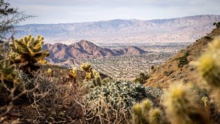 La Quinta Cove, CA | Hiking Trails