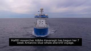 Ailbhe Kavanagh - 7 Week Antarctic Blue Whale and Krill Voyage