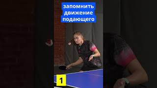 Как принять любую подачу. 4 шага #tabletennisacademy #pingpong #tabletennis