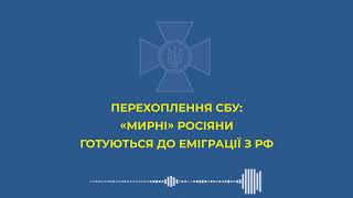 Невиноватых нет Z Военная спецоперация России на Украине