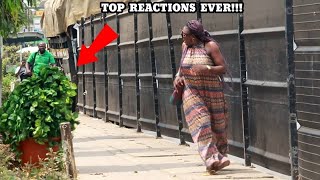 Best of Bushman Prank: Ultimate and crazy reactions