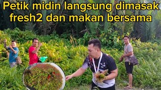 Petik midin@(kemiding)//langsung dimasak segar dan makan bersama sungguh nikmat yang luar biasa.