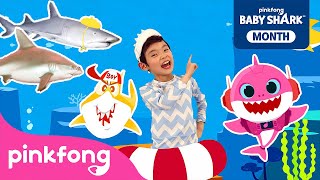 [🔴 LIVE] 🏆 BEST Baby Shark Dance Songs | Summer Baby Shark | Shark Month Special | Official Pinkfong