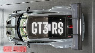 Neuer Porsche GT3RS in Arktikgrau und rote Felgen #unboxing