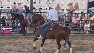 All American Cowgirl Day 🤠!!!