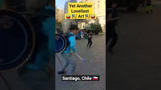 क्या आपने पहले कभी ऐसा देखा है ? #indianinchile #trending #chile #india #santiago #travelvlog #viral