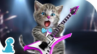 LITTLE KITTEN ADVENTURE CARTOON - KITTEN ROCK MUSIC! KIDS FUN DANCE - MUSIC FOR KIDS