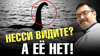 Где прячутся йети, Несси и чупакабра? | биолог Георгий Куракин. Ученые против мифов 20-3