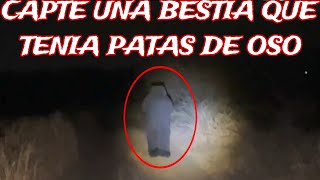 BESTIA TENIA PATAS DE OSO