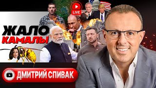 👳МОДИфикация МИРНЫХ УГОВОРОВ. Эхо Курска. Слово Камалы. Кеннеди за Трампа. Травля Волошина - Спивак