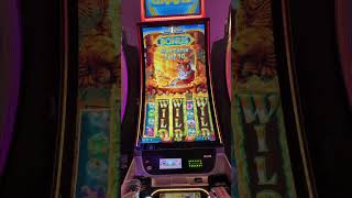 Rare Golden Jungle Free games! Idiot doesn't know what a Tiger is! #shorts #slots #fyp