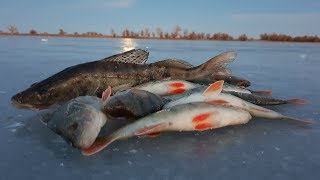 Разведка боем на новом водоёме. Рыбалка в Астраханской области