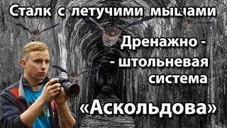 Сталк с МШ. Киев. Дренажно - штольневая система "Аскольдова"