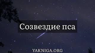 Артур Кларк рассказ «Созвездие Пса»