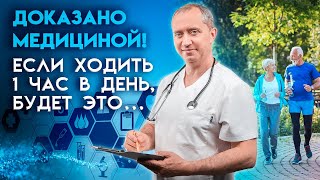 Что произойдет, если ходить 1 час в день...