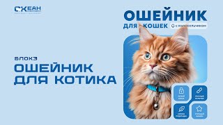 Ошейник для котика