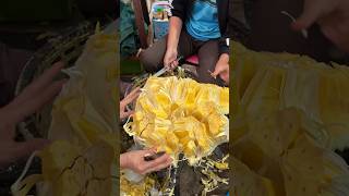 Amazing Giant Fruit! Jackfruit Cutting Skills #fruit