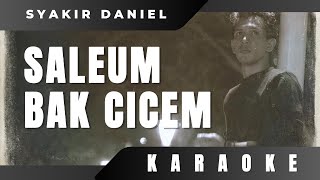 SALEUM BAK CICEM▪︎SYAKIR DANIEL ( KARAOKE )