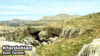 Kfardebian Ezer Forest