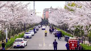 Welcome to Qingdao in April 青岛，等你在四月