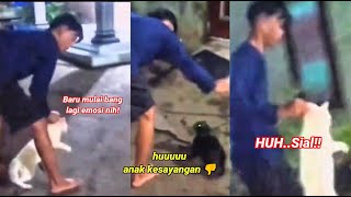 DIJAMIN NGAKAK!! si Abang melerai kucing miliknya berkelahi!