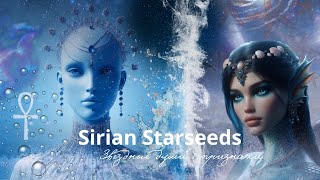 Sirian starseeds. СИРИУС. ЗВЕЗДНЫЕ ДУШИ. Египетские / греческие боги, кошки, дельфины ✨🐬