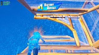 Daily Win | Fortnite Highlights #2