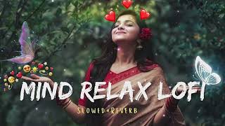 NEW MIND RELAX LOFI SONG 2024//BEST LOFI SONG 2024🥰🥰🥰