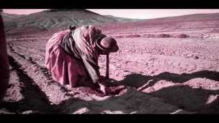 MARÍA OSTIZ- CAMPESINA