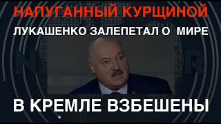 Напуганный Курщиной: Лукашенко просит мира. В Кремле взбешены