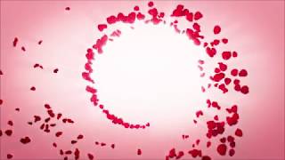 [FULL HD] More Petals VFX