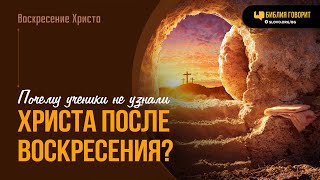 Почему ученики не узнали Христа после Воскресения?  | "Библия говорит" | 2014