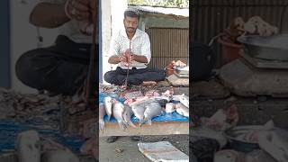 Katol fish pics pics #shortsvideo #kashishpatel #trending #fish #fiscutting #ytshorts #500subs