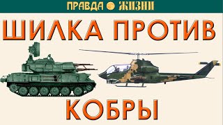 Шилка против Кобры