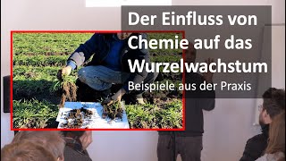 Einfluss von Chemie auf Wurzelwachstum, Mykorrhiza, Bodenstruktur. Potenzial der Dammkultur nutzen.