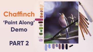 Chaffinch 'Paint Along' REAL TIME Demo PART 2