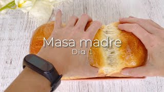 Cómo hacer masa madre en casa: Día 1