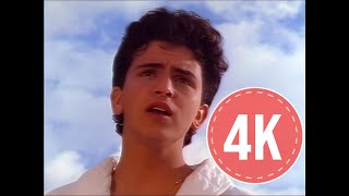 Glenn Medeiros - Nothing's Gonna Change My Love for You (1987) - Remaster