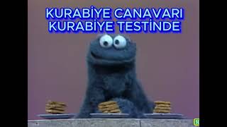 KURABİYE CANAVARI KESİTLER