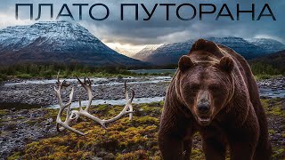 11 ДНЕЙ ПЕШКОМ. Плато Путорана. Русский феномен…