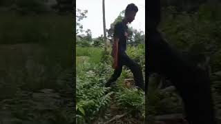 LOKASI MANCING IKAN GABUS//DI LEBUNG// SUNGAI LILIN JAMBI