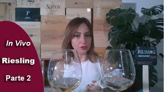 🔴 DIRECTO Mejor RIESLING Económico🍷 | Cata Vinos Blanco ALDI y LIDL 🛒 PARTE 2 | VINO VIDA VICIO