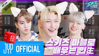 스키즈 마블로 배우는 인生 #1｜[SKZ CODE] Ep.04